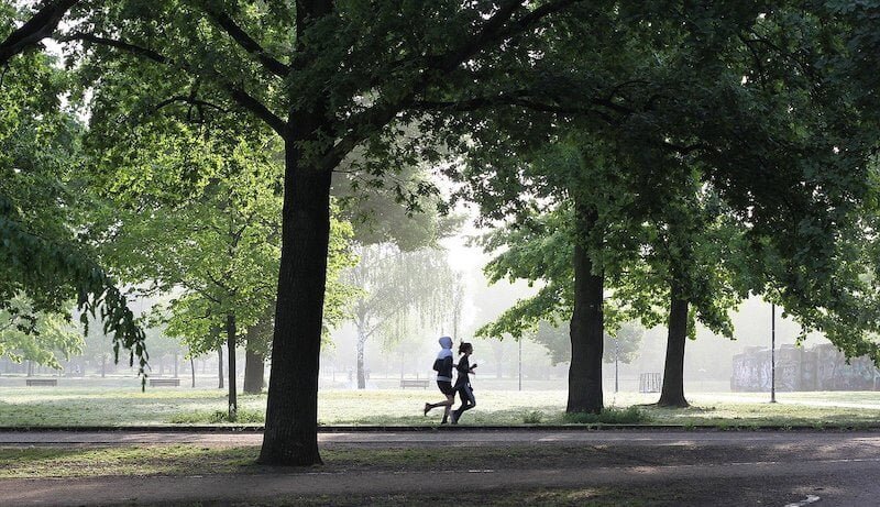 Joggen für Anfänger - Laufen im Park