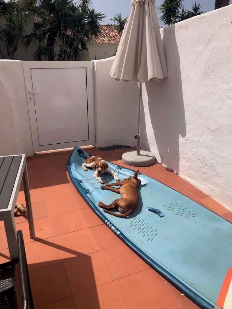 Apartment Borda Agua Albufeira Praia Oura