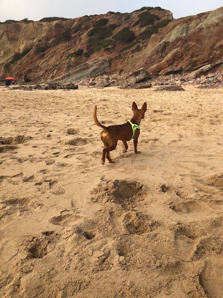 Vila do Bispo - Hippiestrand