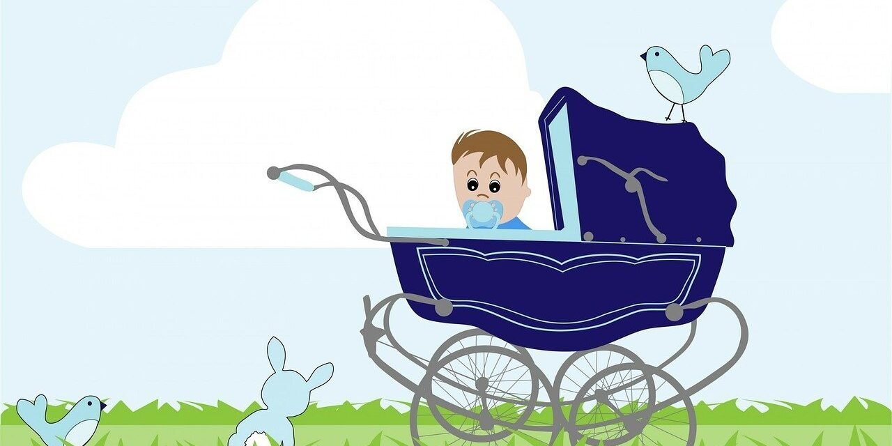 Welcher Kinderwagen passt zu mir? 4 Modelle im Check