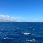 Mit der Fähre auf die Kanaren – diese Möglichkeiten hast du