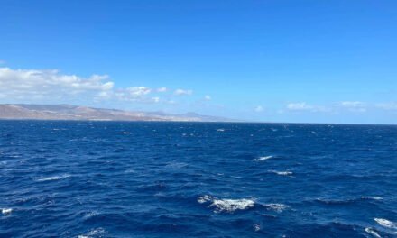 Mit der Fähre auf die Kanaren – diese Möglichkeiten hast du