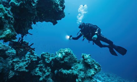 Tauchen auf Lanzarote – Die besten 5 Tauchplätze der Insel
